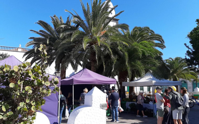 City Life Arrecife Apartment