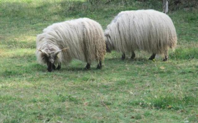 Eco-Logis du Vignoble