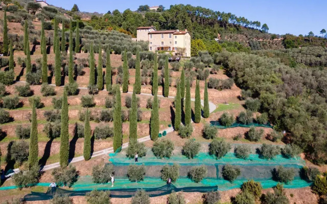 Luxury 6-bed Tuscan Villa Near Lucca and Florence