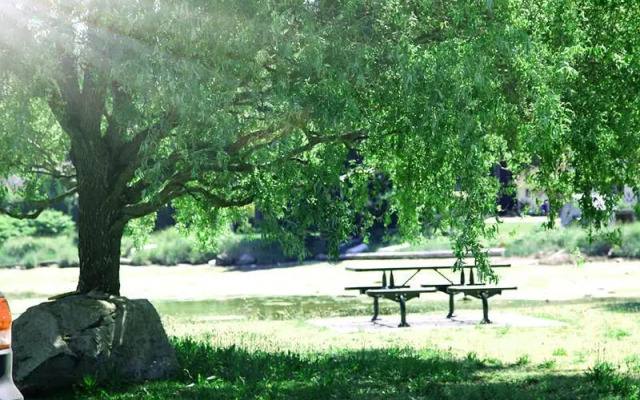 The Spot at Porpoise Bay