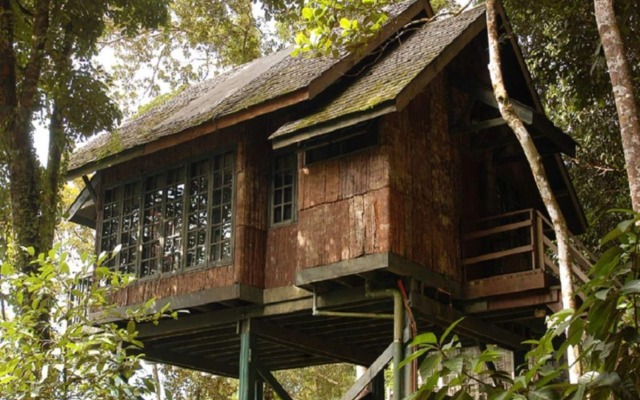 Permai Rainforest Resort