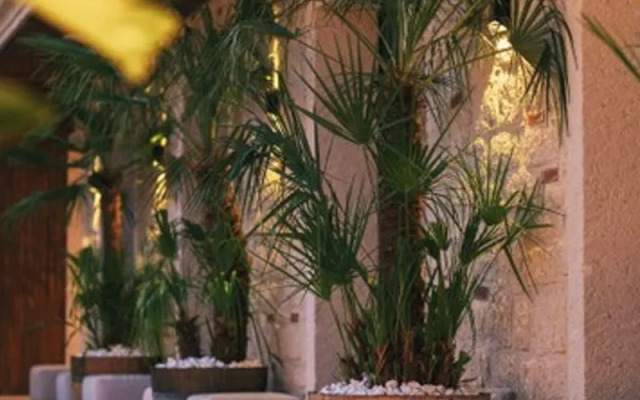 Rupa Experience Hotel