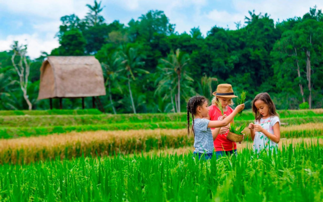 Mandapa, a Ritz-Carlton Reserve