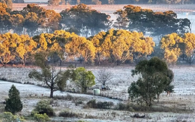 The Mudgee Homestead Guesthouse