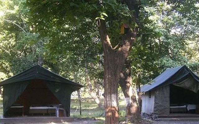 Corbett Jungle Lore