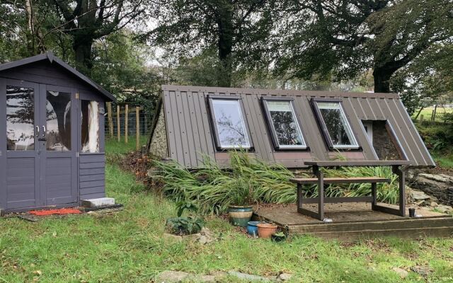 Ascension in the Fields