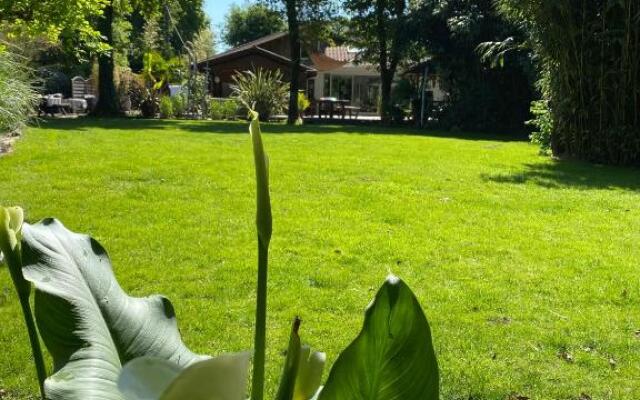 Maison Bassin d'Arcachon