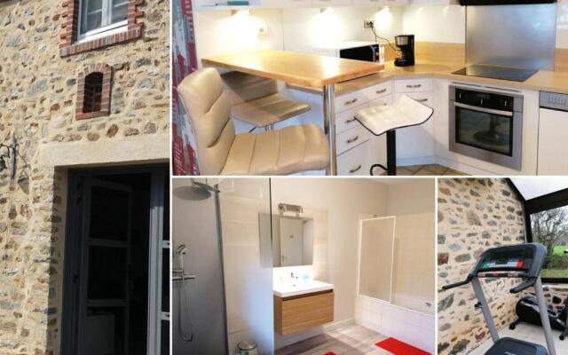 Gîte Andouillé, 4 pièces, 5 personnes - FR-1-600-184