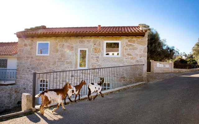 Tio Zé - Casas de Selim - T2