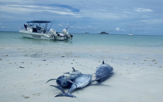 Paradise Sun Hotel Seychelles