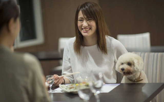 Izumigo Toba Dog Paradise Hotel