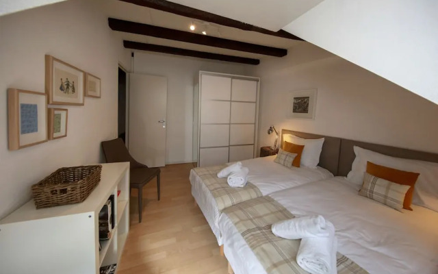 ColmarAppart BAUMGARTNER 117M