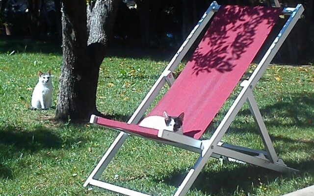 Residence Missipezza
