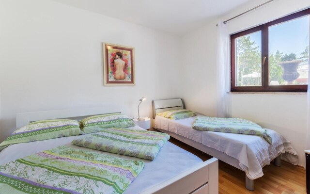 Awesome Home in Labin with Hot Tub, WiFi & 5 Bedrooms