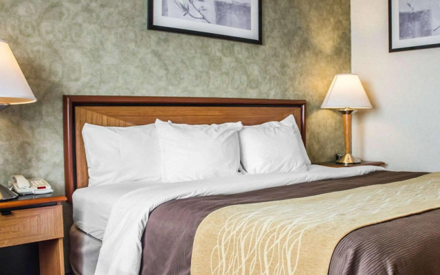 Comfort Inn