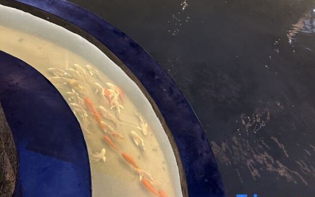 Xinsu Changrong Tulou Cultural Homestay (Yunshui Ballad Shop)