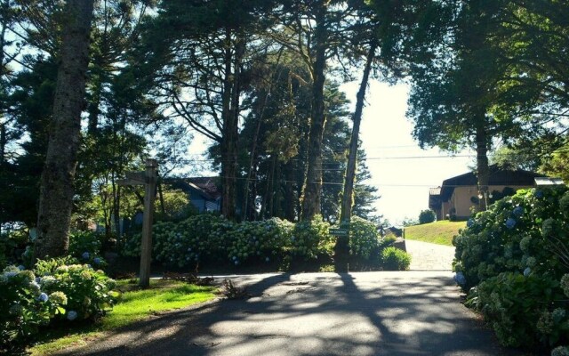 Locar-in Gramado Solar das Hortênsias