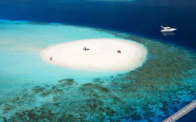 Local Travel Beach