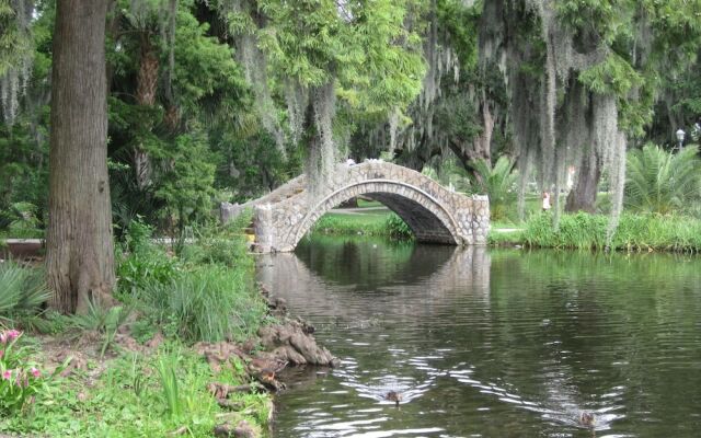 Cozy Living in Mid City