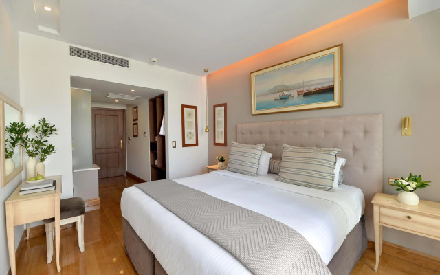 Acropolian Spirit Boutique Hotel