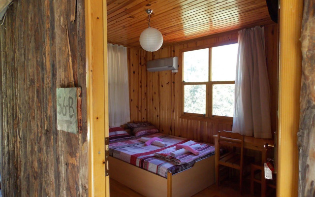 Olympos Orange