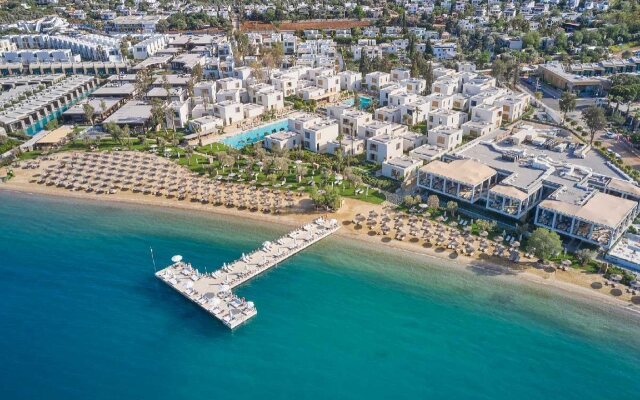 Voyage Torba and Private