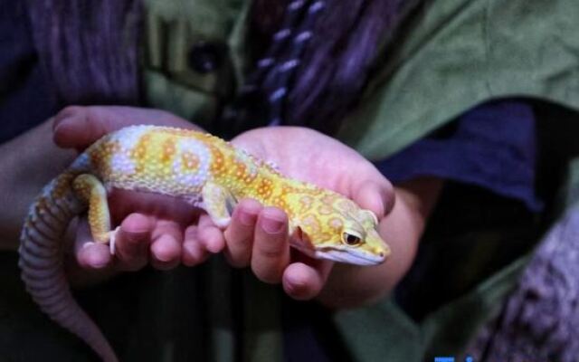 Shiyuan Pushen Hotel