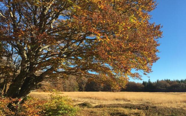 Gîte La Maison Toute de Travers