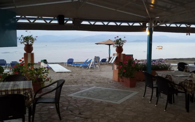 Nikolas Club