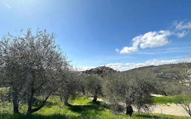 Le piccole Vigne (Vignine)