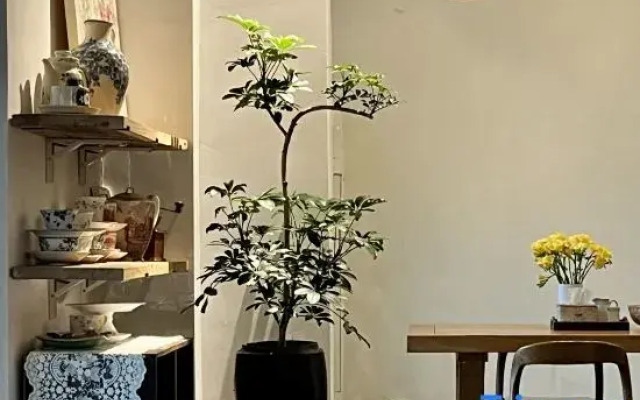 Yuehu Lakeview Guesthouse