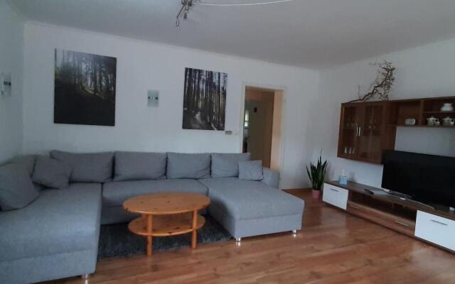 Steepleview House, Schwarzwaldblick Apartment - spacious & peaceful