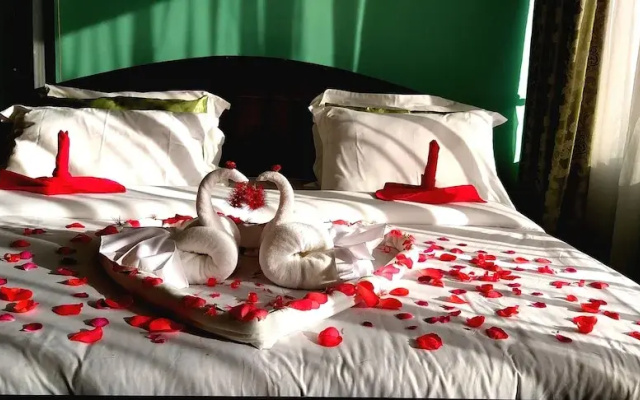 Alexander Hotel & Tours