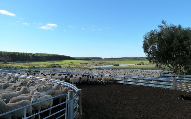 Flinders Chase Farm Stay - Hostel