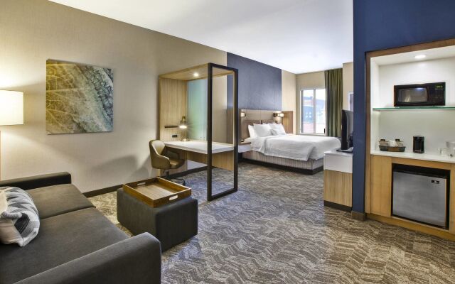 SpringHill Suites by Marriott Pittsburgh Butler/Centre City