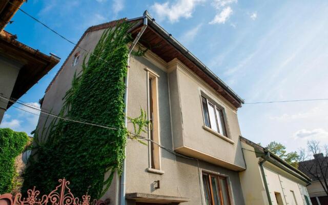 Bed&Wood in Center of Oradea 1