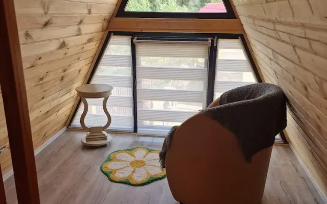Bucovina-a-framehouse-hottub-fireplace-patio-wifi
