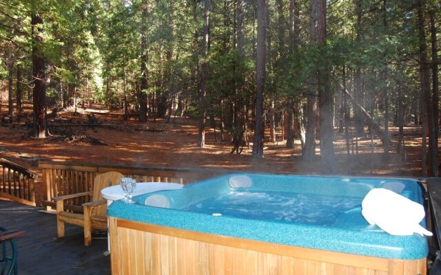 Yosemite Scenic Wonders - Wawona Area