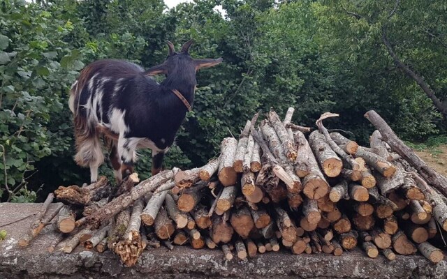 Agriturismo La Caraffara