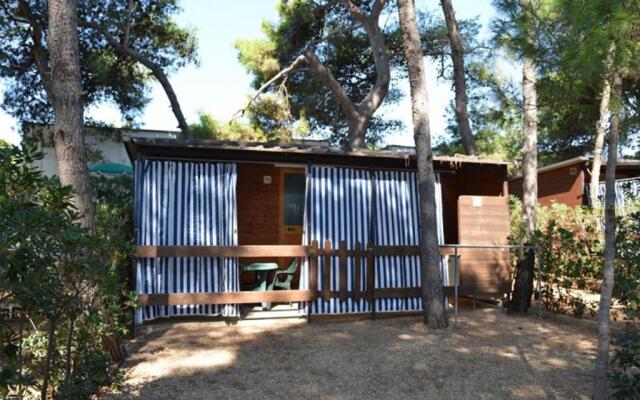 Villaggio Pineta al Mare - Campground