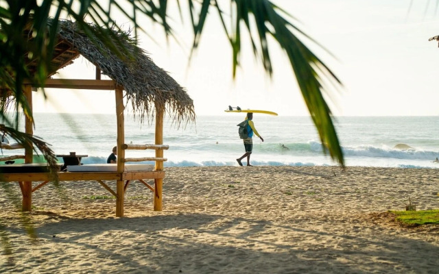 Whisky Point Resort