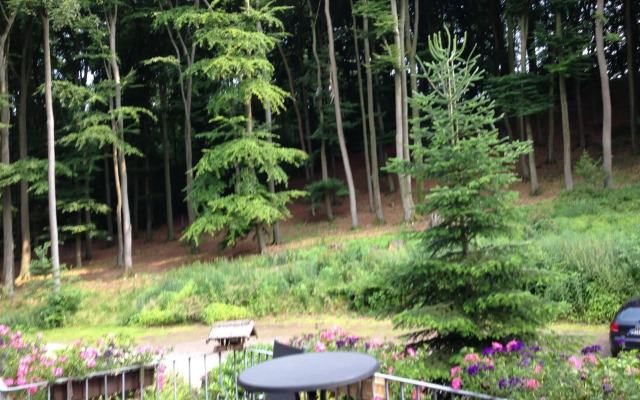 Waldhotel Porta Westfalica garni