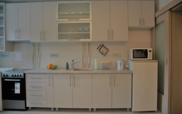 Spacious 2-bedroom apartment with luxury feel