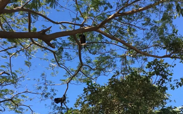El Jardin de la Vida