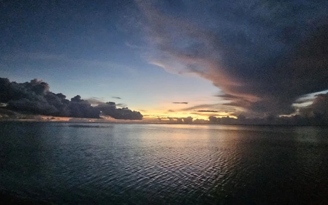 Moorea - Tropical Nest