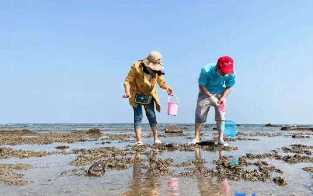 Weidu Inn Weizhou Island