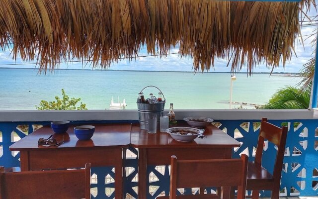Rum Punch Lodge