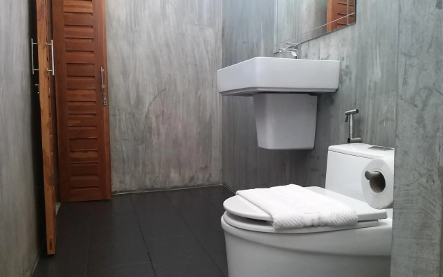 ดิน ดาว หนาว หมอก