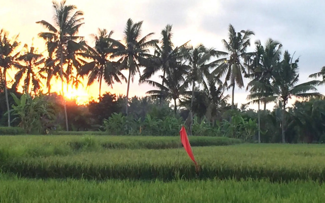 Collection O Ubud Near Central Ubud Formerly Hotel Suly