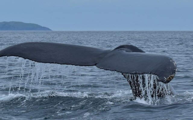 The Big Blow Bed & Breakfast